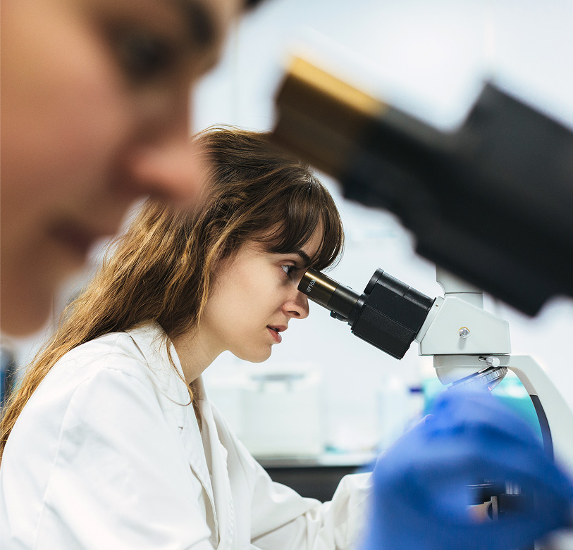 Cat Cloning – From An Embryo Perspective