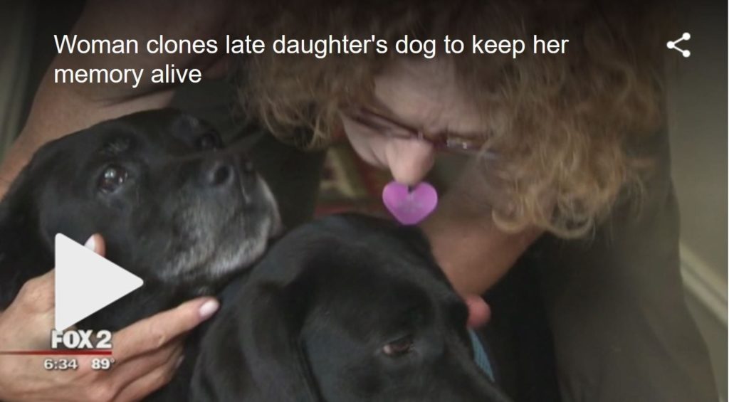 late duaghters dog clone