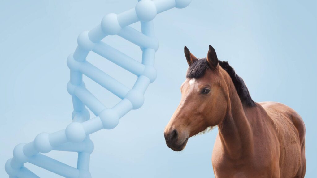 A decorative image of a DNA helix with a horse in the foreground.