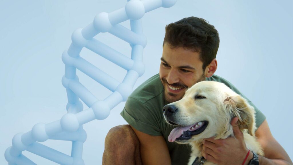 A decorative image showing a dog owner cuddling his dog, with a DNA double helix in the background, thought to represent the subject of cloning a dog that has passed away.