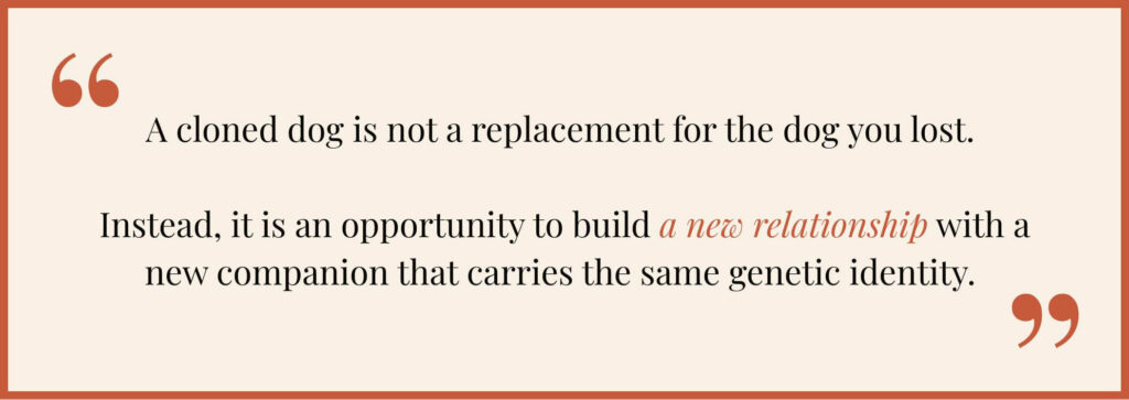 A quote graphic that literally reads “A cloned dog is not a replacement for the dog you lost. Instead it is an opportunity to build a new relationship with a new companion that carries the same genetic identity.”